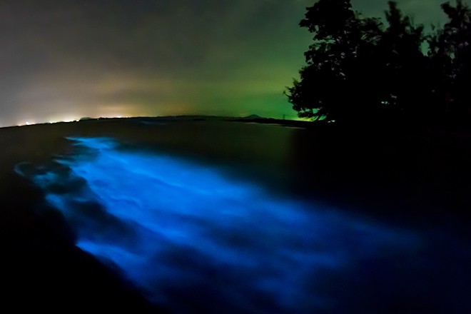 Florida Memiliki Pantai Luar Angkasa dan Keluar dari Dunia Ini 